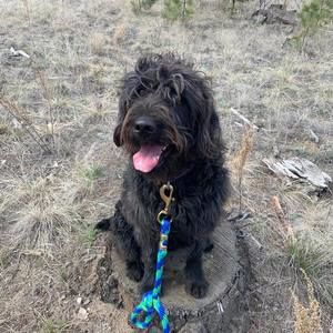 Meet your Posher, Heidi